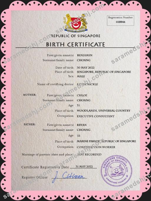 Singapore vital record birth certificate PSD template